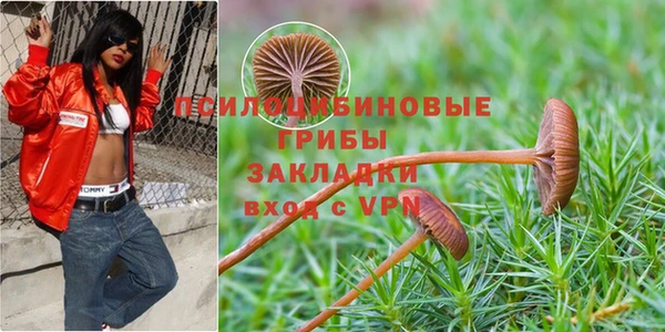 крисы Киренск