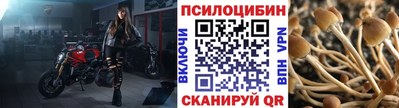 что такое   гидра tor  Псилоцибиновые грибы мицелий  Адыгейск 